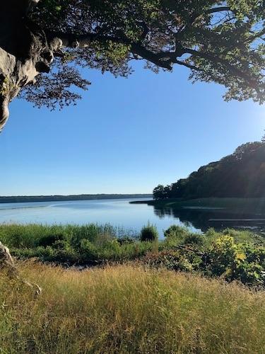 Le lac près de Holte