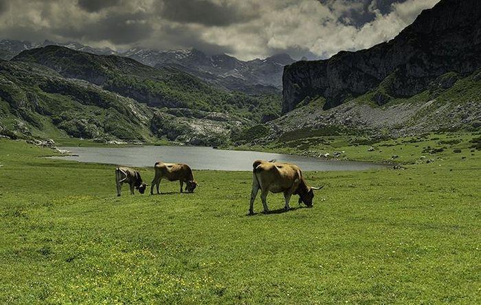 lac dans les picos de europa