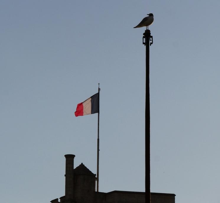 les français dans le monde entier 