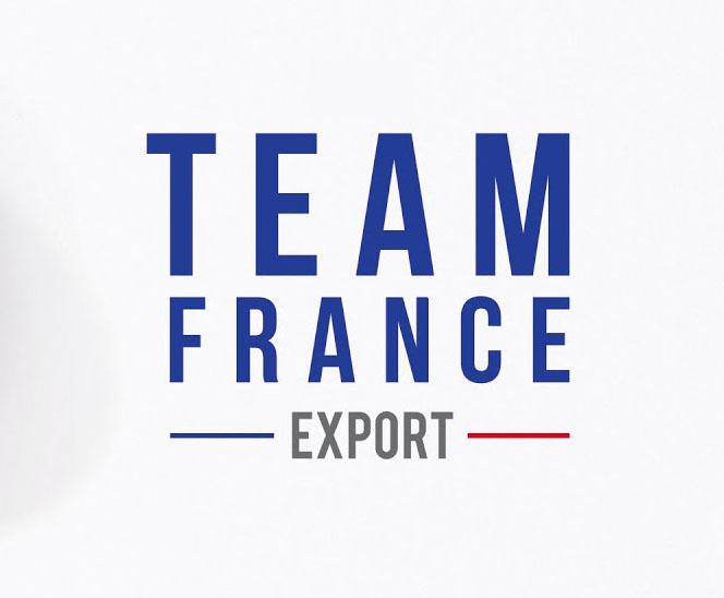 team france export, le GPS à l'étranger des entreprises françaises 