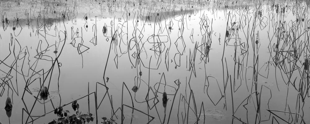 shanghai-sorties-avril-2018