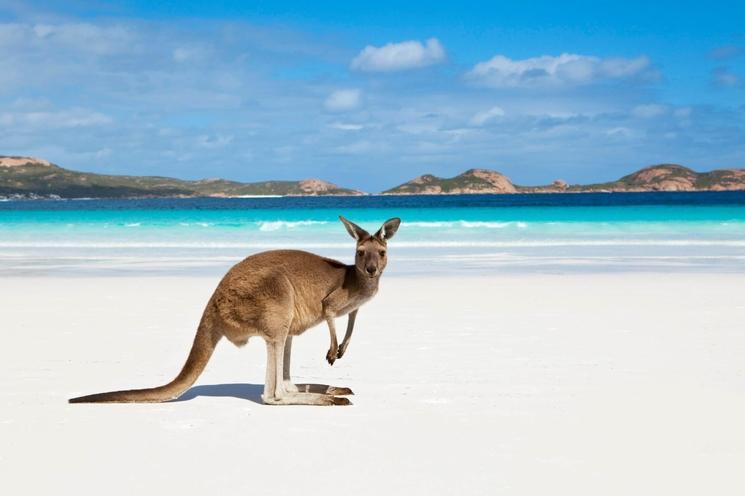 lucky bay australia 