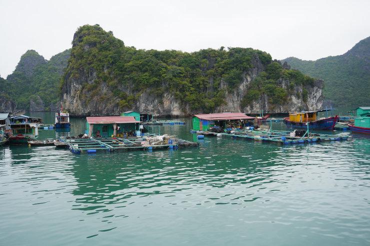 Maisons de pêcheurs vietnamiens à Cat Ba