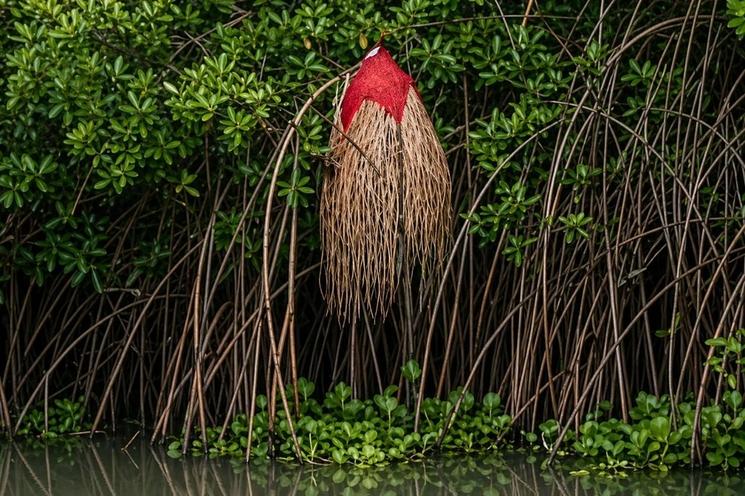 Sacralisation : la Réserve de la Bouche du Roy et ses divinités protectrices. 