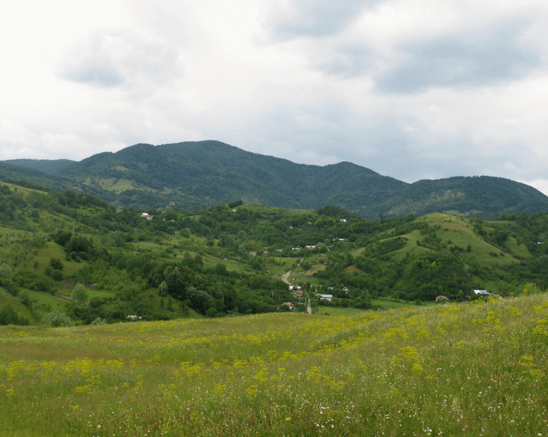 visiter-tourisme-autour-buzau-roumanie-meledic