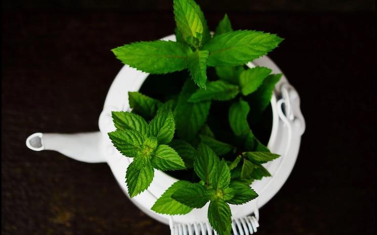 nutrionniste hong kong