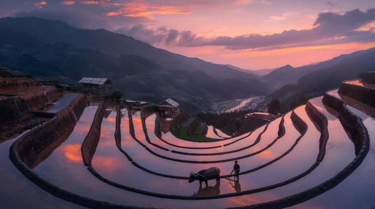 Mu Cang Chai