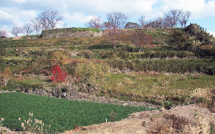 nagasaki hara