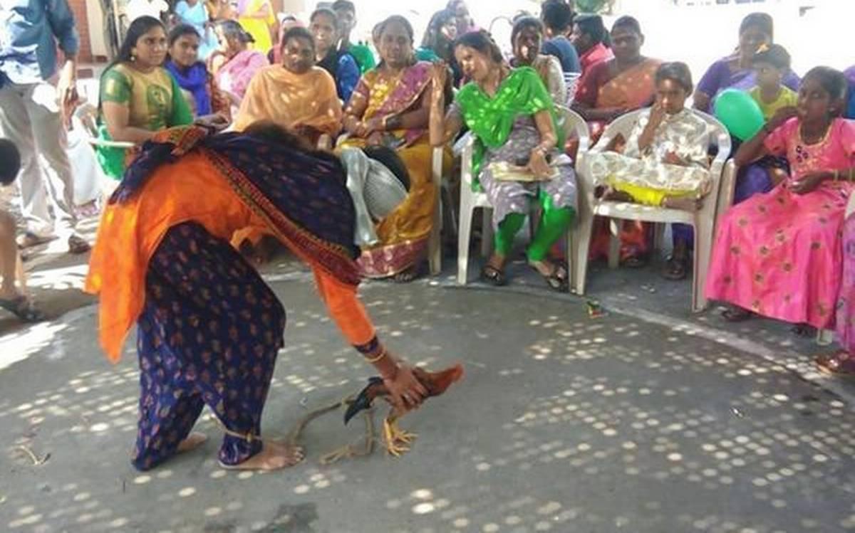 navina jallikattu poule femmes india 