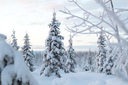 skier en Laponie finlandaise 