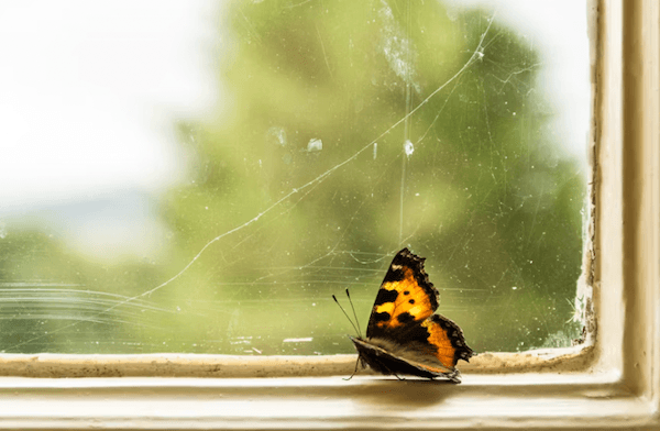 les obstacles en expatriation 