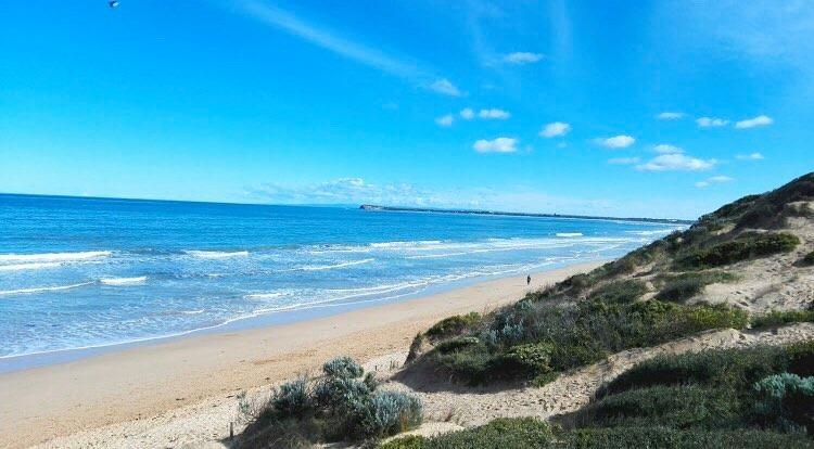 Ocean Grove, plage, surf