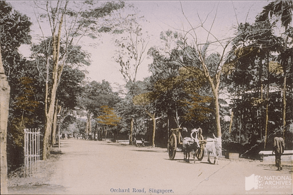 singapour orchard road 1911