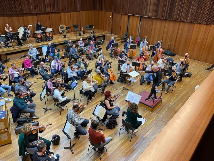 un orchestre de violons en train de répéter 