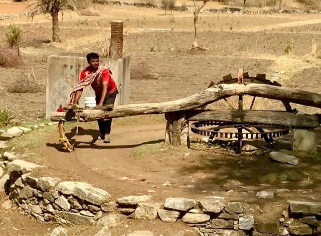 ouvrier agricole nepalais dans le rajasthan, Inde