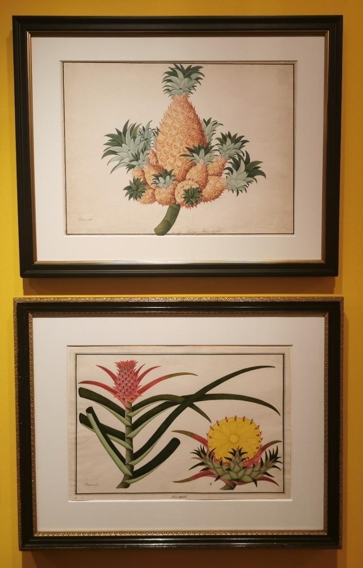 L'ananas tient une grande place dans l'art singapourien.