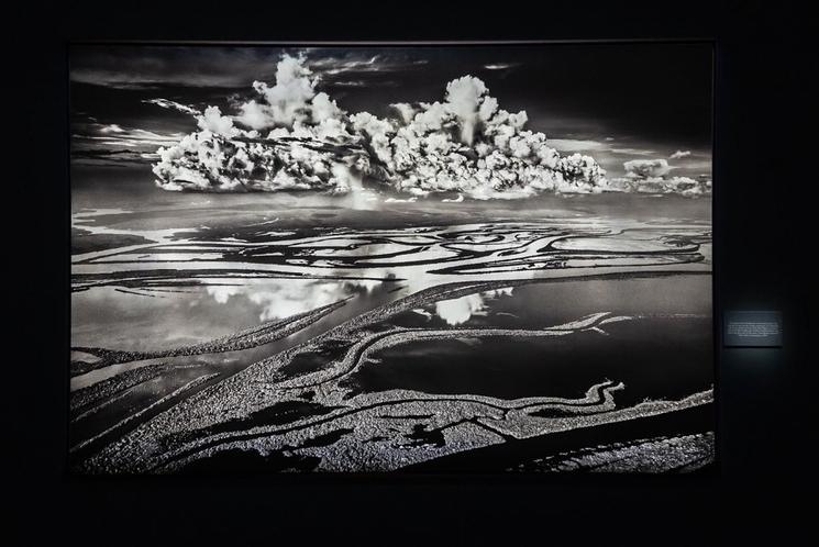 Amazonia est une exposition de photos de Sebastiao Salgado.