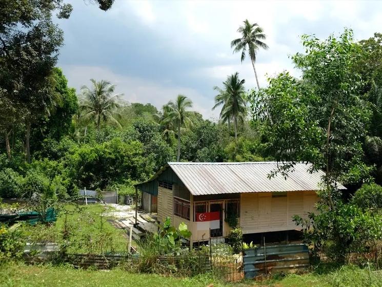 Dans Pulau Ubin, certaines maisons sont isolées dans la forêt.