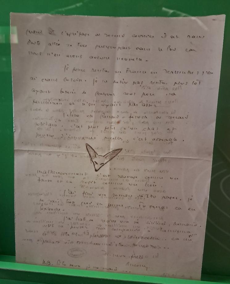 Le renard du petit prince apparait déjà dès 1928 dans une lettre d'Antoine de Saint Exupéry à sa sœur.