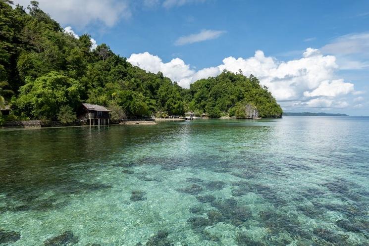 Les iles Togean sont un paradis sous-marin.