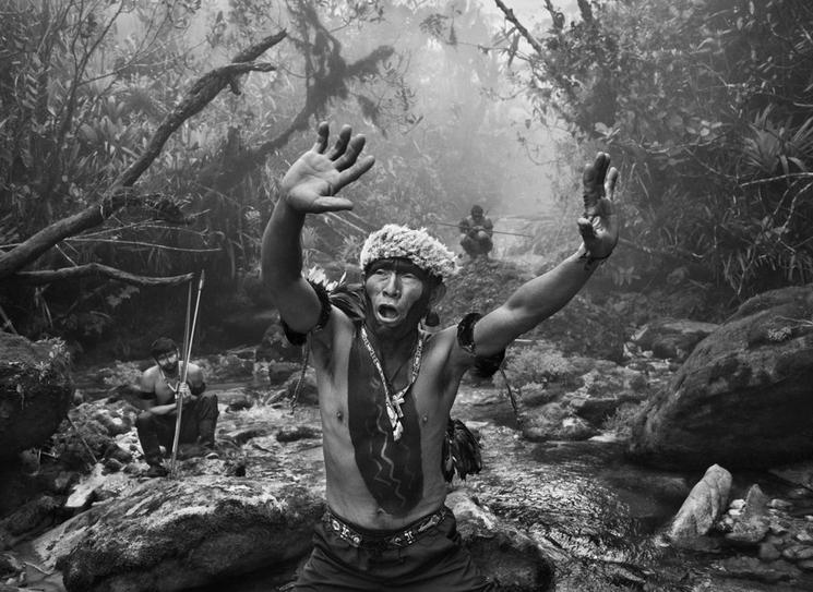 Amazonia est une exposition de photos de Sebastiao Salgado.