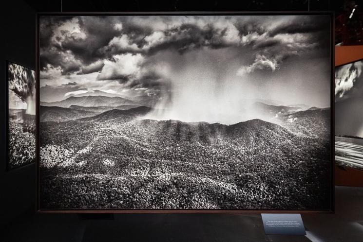 Amazonia est une exposition de photos de Sebastiao Salgado.