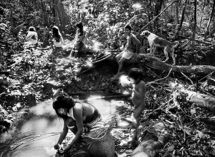 Amazonia est une exposition de photos de Sebastiao Salgado.