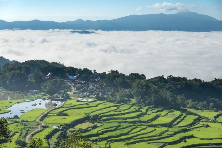 le village de Batumumonga offre un panorama saisissant sur des rizières en terrasses s'étendant à perte de vue.