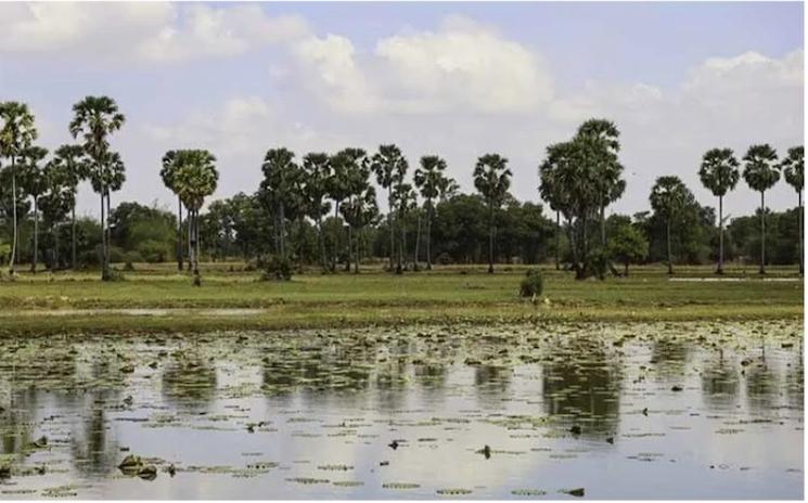 Actualités cambodgiennes de la semaine du 20 au 26 septembre 2025