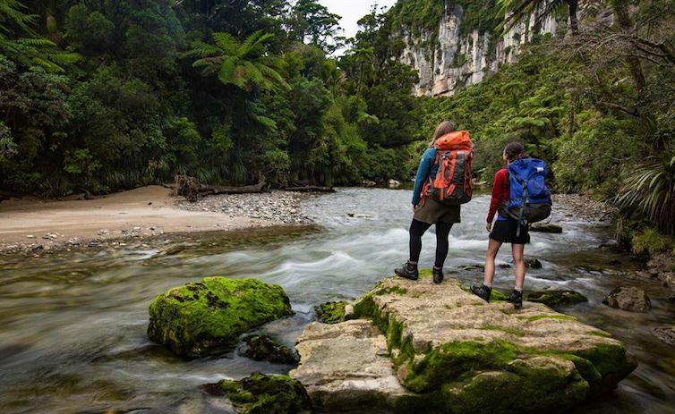 paparoa track