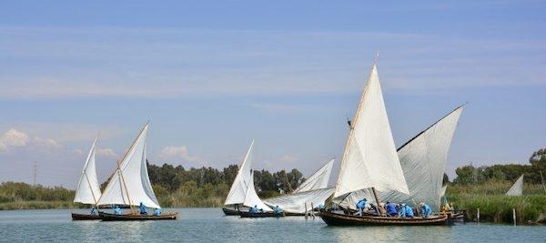 parc naturel de l'albufera