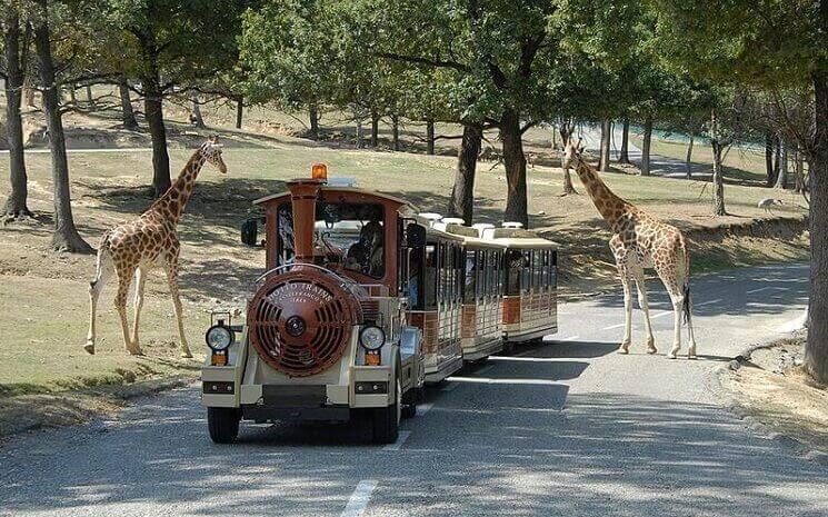 parc animalier avec safari