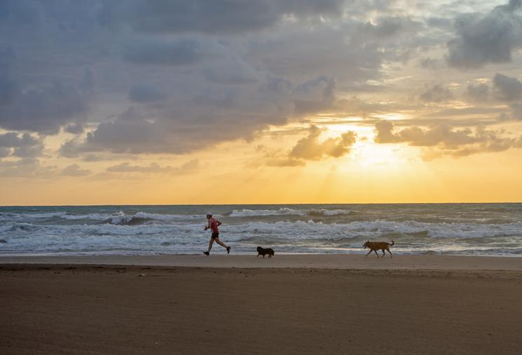 Un homme en train de courir sur la plage avec deux chiens le matin