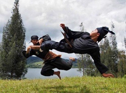 pencak silat indonesie