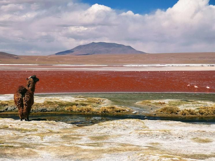 Bolivie Nom Pays Amerique Latine