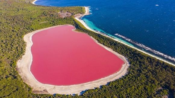 pink lake in Australia 