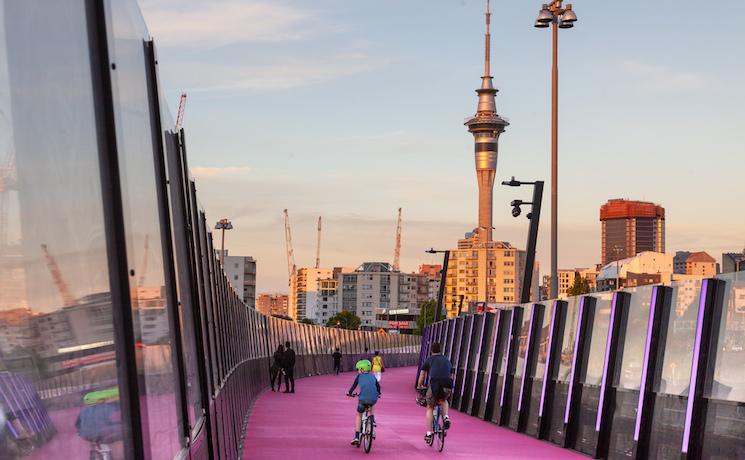 Piste cyclable rose auckland