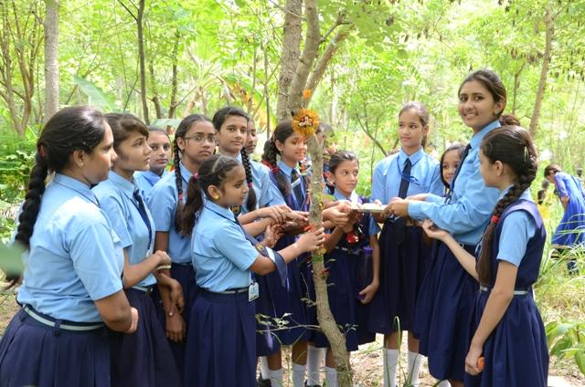 piplantri rajasthan filles arbres sex ratio