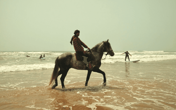 Balade à cheval sur la plage de Sidi Kaouki 