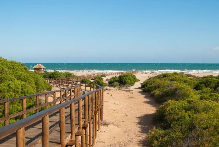 plage de carabassi a elche dans la province d'alicante