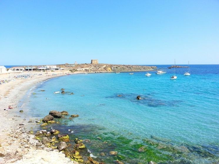 plage de la isla de tabarca dans le province d'alicante