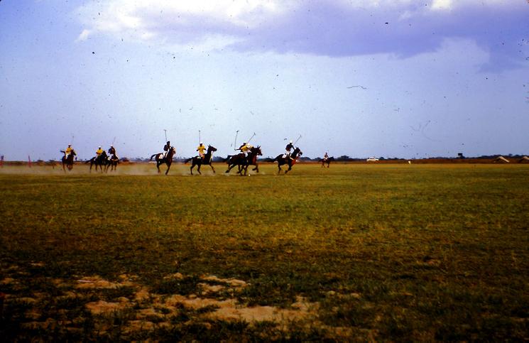 polo india inde madras chennai 