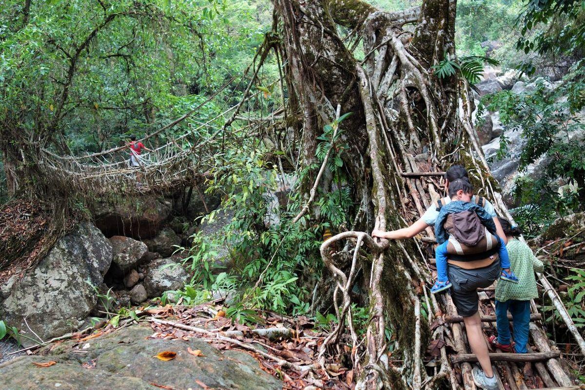 cherrapunji inde raines ponts