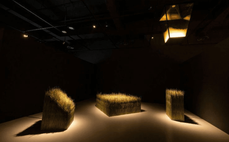 Trois gros blocs d'herbe