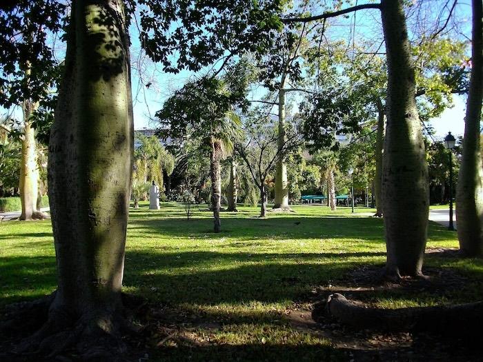 arbres du jardins del real à valencia