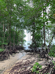 Pulau Ubin, Singapour