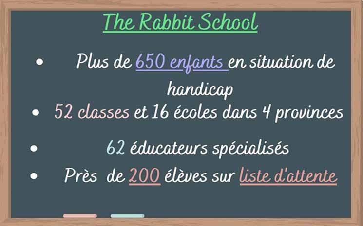 rabbit school 