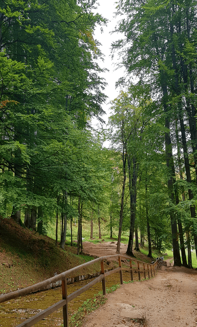 sarmizegetusa-forteresses-daces-roumanie-tourisme