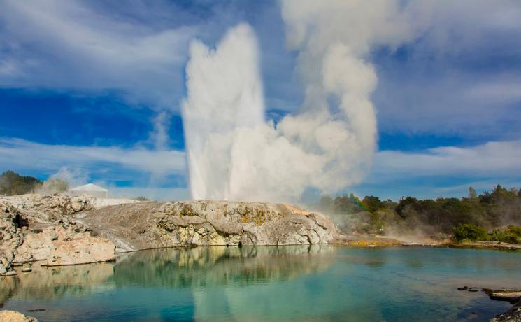 Geyser à Rotorua