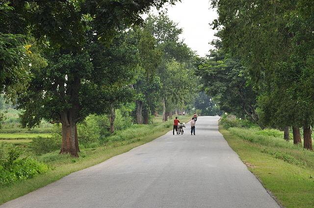 Une route dans la campagne indienne